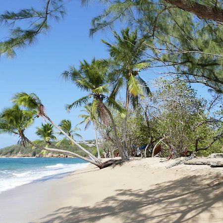 La Villa Caribeenne De La Plage Des Surfeurs La Trinité Dış mekan fotoğraf