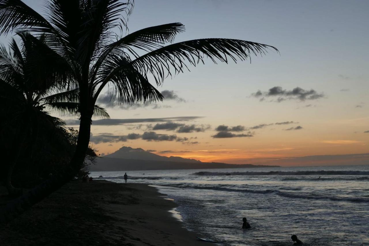 La Villa Caribeenne De La Plage Des Surfeurs La Trinité Dış mekan fotoğraf